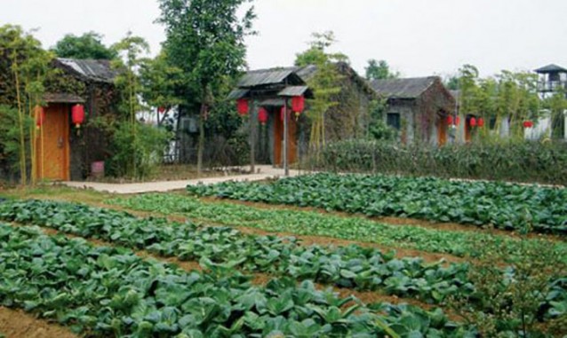 靖安和緣生態(tài)園