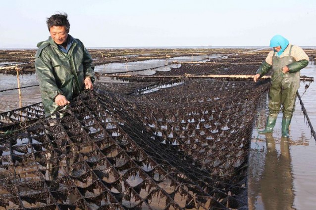 小嶝島老兵客棧