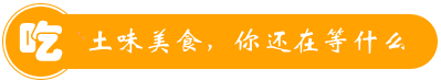 南平政和鳳頭楠木林森林人家