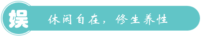 南平政和鳳頭楠木林森林人家