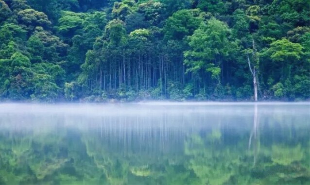 蛟龍土味山莊