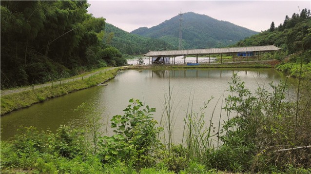 梅嶺清泉農(nóng)莊