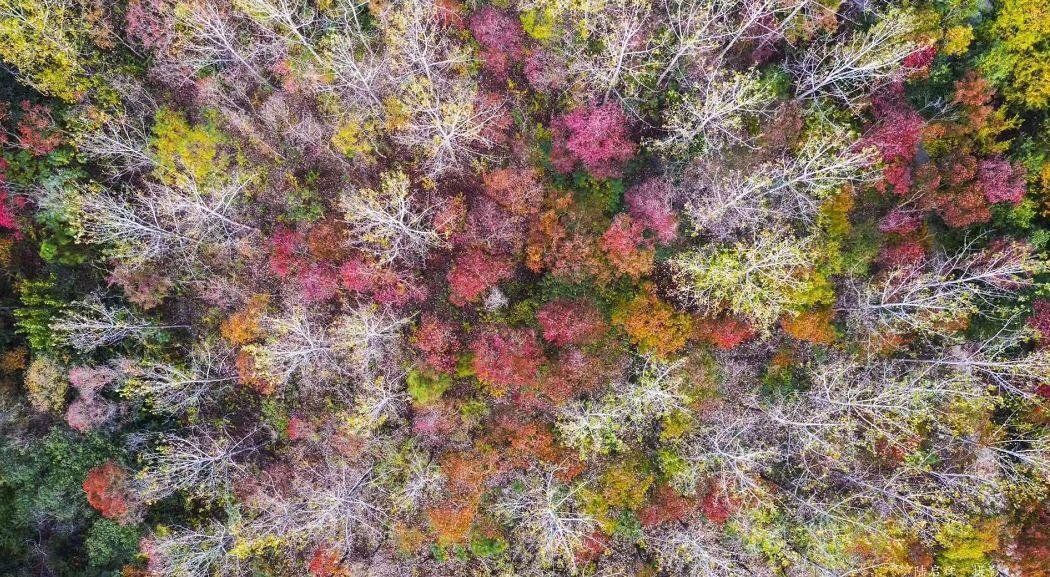 抖音網(wǎng)紅姚大來宿遷了，還拍了超唯美的MV！