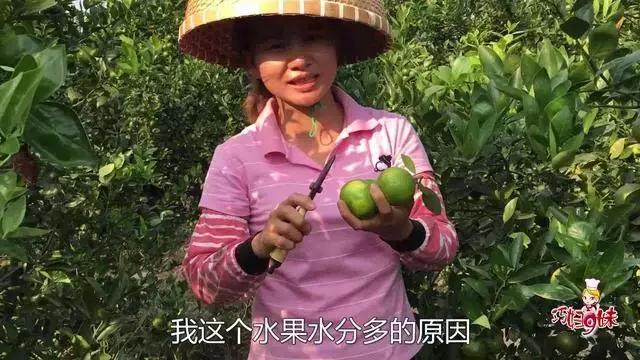 抖音！快手！農產品電商應該進化到內容創(chuàng)業(yè)+農產品網紅！