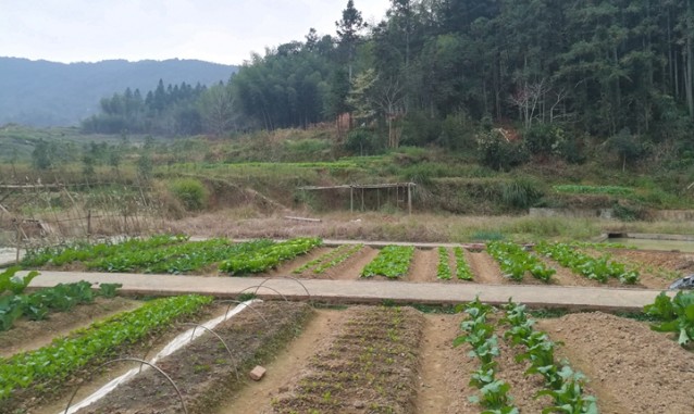 將樂百草園休閑山莊