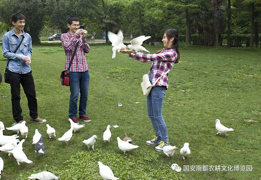 鄉(xiāng)村動物園【農(nóng)耕文化主題之休閑農(nóng)業(yè)規(guī)劃設(shè)計案例】