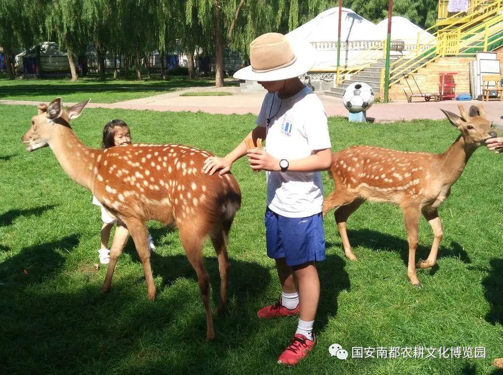 鄉(xiāng)村動物園【農(nóng)耕文化主題之休閑農(nóng)業(yè)規(guī)劃設(shè)計案例】