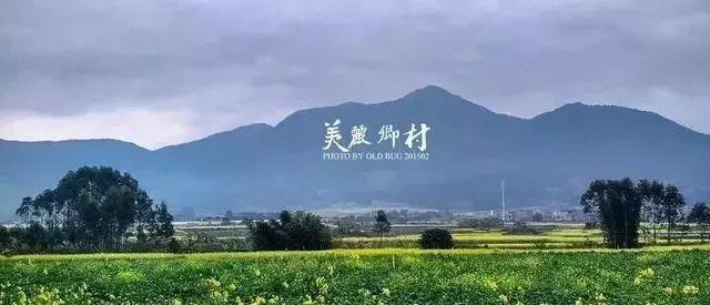 美麗鄉(xiāng)村規(guī)劃建設(shè)中最常見的10個(gè)“敗筆”