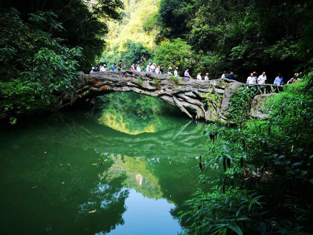 旅游景區(qū)抖音原創(chuàng)視頻+五一營銷活動方案