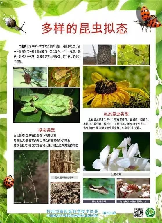 科普圖展 | 奇妙的昆蟲世界（原創(chuàng)）