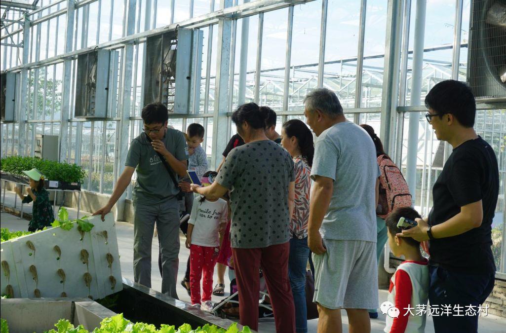 農莊資訊 | 掛牌了！三亞中小學生農業(yè)科普教育基地落地大茅！