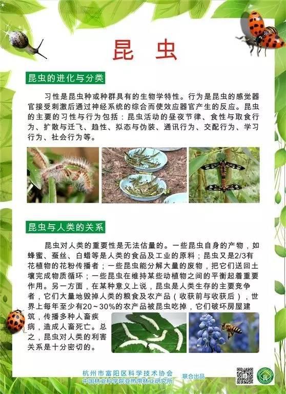 科普圖展 | 奇妙的昆蟲世界（原創(chuàng)）