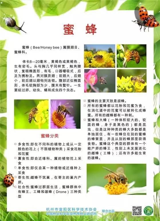 科普圖展 | 奇妙的昆蟲世界（原創(chuàng)）