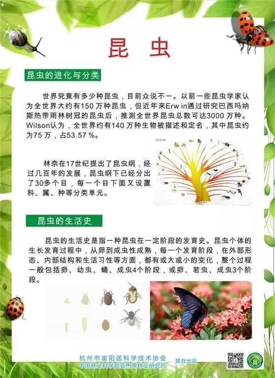 科普圖展 | 奇妙的昆蟲世界（原創(chuàng)）