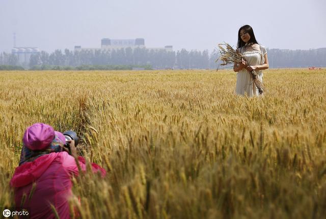 進(jìn)入6月，這2件事農(nóng)民朋友要早做準(zhǔn)備，不要僥幸違規(guī)，以免被罰款