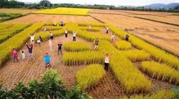 后“大棚房”時(shí)代，休閑農(nóng)業(yè)要重點(diǎn)思考的幾個(gè)轉(zhuǎn)向