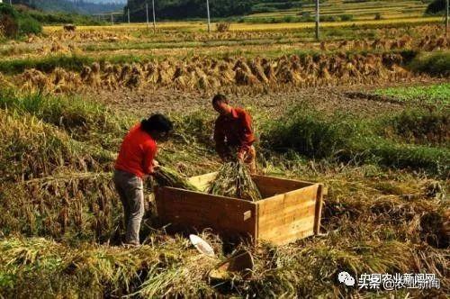 農(nóng)民朋友們，你們知道嗎？在農(nóng)村，“租”市場(chǎng)空間很大哦