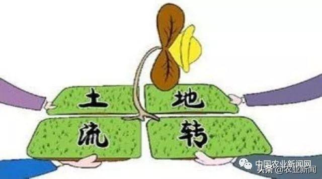 據(jù)說農(nóng)村土地還存在著不小的問題，你了解過嗎？