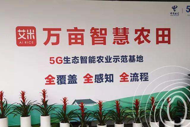 浙江正式啟動(dòng)“5G 智慧農(nóng)業(yè)”，和傳統(tǒng)模式有啥不一樣？