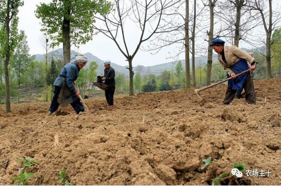 猛料：這個(gè)政策一出，農(nóng)村土地要值大錢了