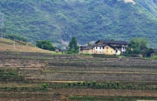 農(nóng)村這些土地將會被收回！耕地宅基地通通在列，看看你家有沒有