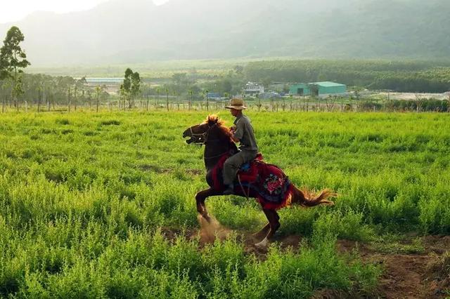 海南共享農(nóng)莊聯(lián)盟發(fā)布三條精品農(nóng)莊游學(xué)線路