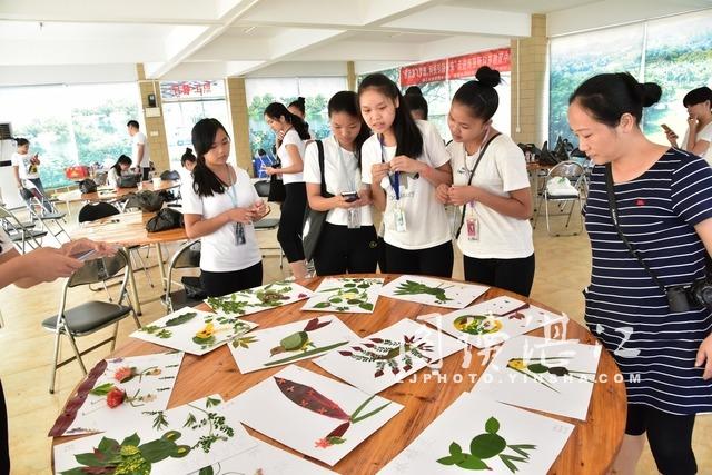 科普日：學生走進植物園科普教育基地開展拼圖活動