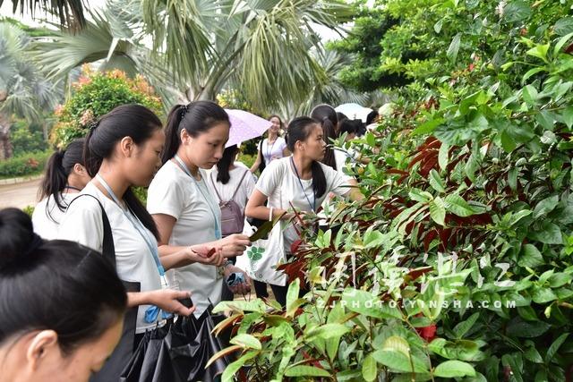 科普日：學生走進植物園科普教育基地開展拼圖活動