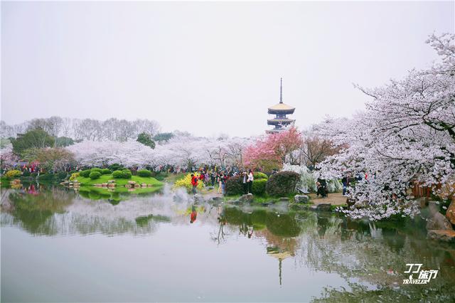 武漢最值得去的7個景點，其中5個是免費的，都是武漢的地標