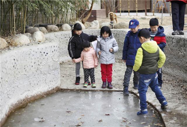 讓孩子在幼兒園時期摘果子、玩泥巴，過上親近自然的生活有多難？聚焦森林幼兒園模式在中國的艱難落地