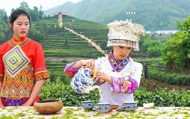 “茶莊園”研學(xué)體驗(yàn)