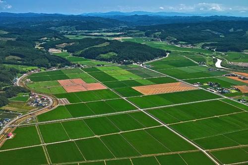 鼓勵(lì)農(nóng)村盤活利用閑置宅基地！土地管理法修正案“牽一發(fā)動(dòng)全身”