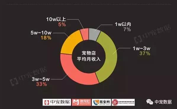 寵物經(jīng)濟(jì)異軍突起 電商成主要銷售渠道