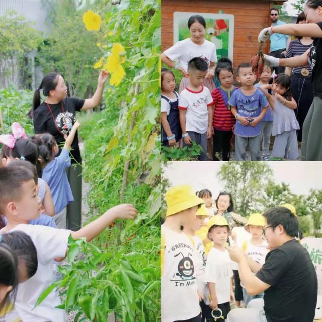 兒童戶外樂(lè)園內(nèi)民宿為何上千一晚？親子小鎮(zhèn)，住宿成“網(wǎng)紅”