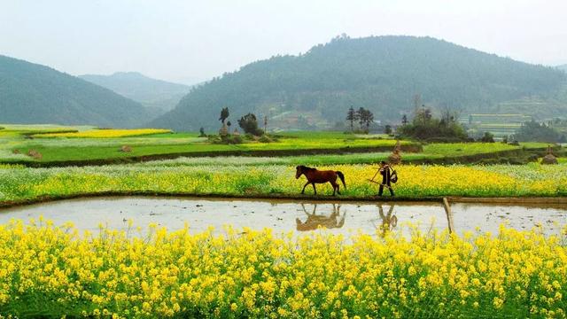 “平地建廠，荒山造田”：占補(bǔ)平衡下的耕地危機(jī)