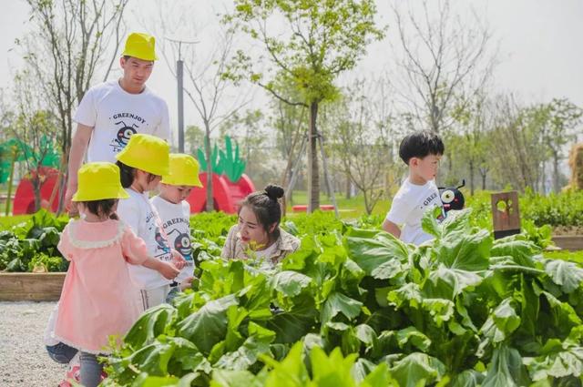 兒童戶外樂(lè)園內(nèi)民宿為何上千一晚？親子小鎮(zhèn)，住宿成“網(wǎng)紅”