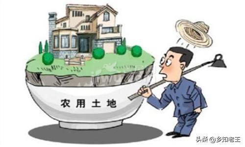 農(nóng)村耕地占用稅是什么梗？想投資農(nóng)業(yè)吃了定心丸