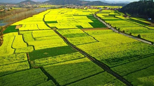 “平地建廠，荒山造田”：占補(bǔ)平衡下的耕地危機(jī)