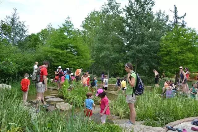 兒童花園 | 世界上最精致的兒童互動花園，樂趣無限