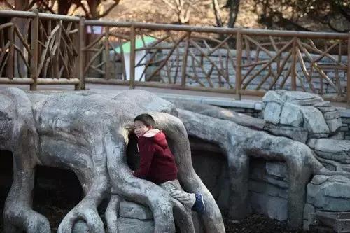 兒童花園 | 世界上最精致的兒童互動花園，樂趣無限