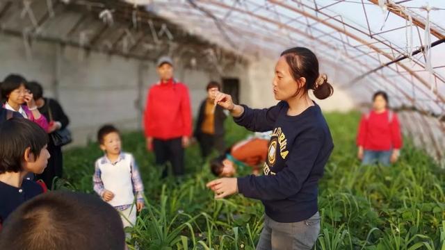 人物故事丨分享農(nóng)人收獲的女博士——石嫣