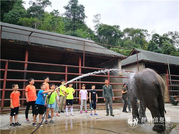 云南首屆研學(xué)旅行發(fā)展高峰論壇11月18日將在昆明舉行