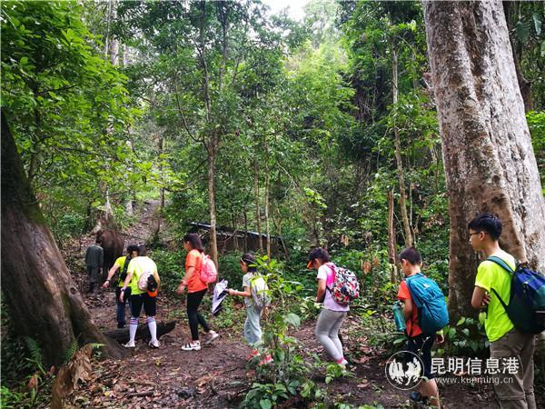 云南首屆研學(xué)旅行發(fā)展高峰論壇11月18日將在昆明舉行