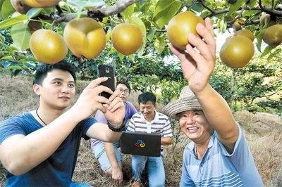 直播帶貨越來越火，農(nóng)民通過直播帶貨銷售農(nóng)產(chǎn)品，卻遇到新的困難