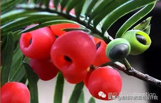 案例 | 江蘇無錫紅豆生態(tài)園打造健康農(nóng)業(yè)產(chǎn)業(yè)鏈發(fā)展模式