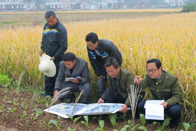 土地承包關(guān)系長久不變，還能小調(diào)整嗎？無地農(nóng)民有這4條出路