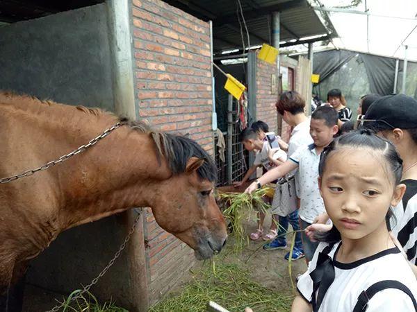 農(nóng)業(yè)農(nóng)村部發(fā)布2019精品景點(diǎn)線路，上杭榜上有名