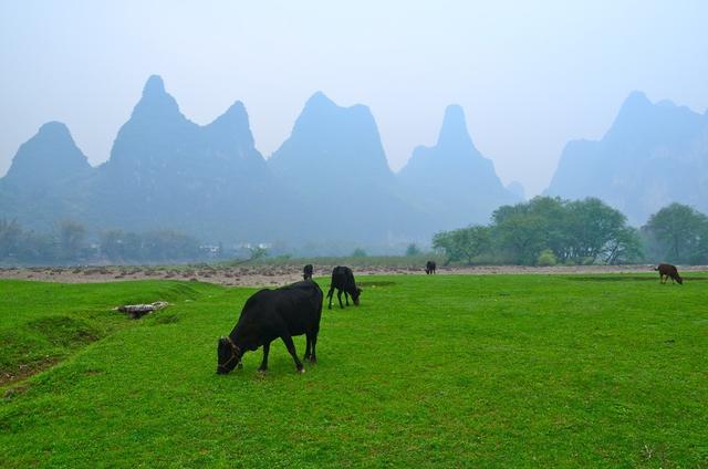 桂林市因地制宜開(kāi)展農(nóng)村集體產(chǎn)權(quán)制度改革工作