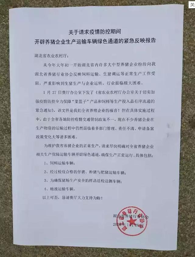 湖北即將斷糧的3億只雞