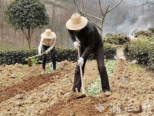 湖北農(nóng)業(yè)農(nóng)村部門(mén)黨員干部下沉到村組抓防控和春耕